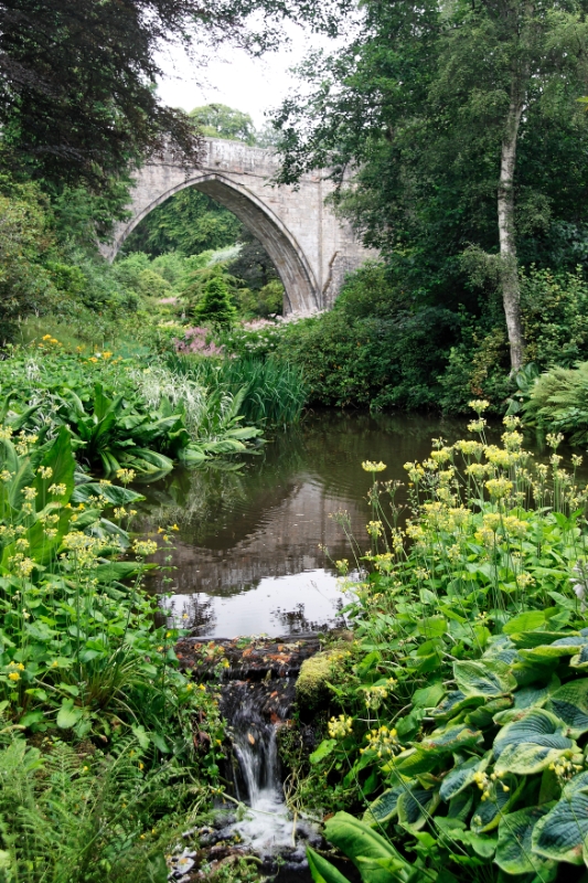 Garden Scotland.jpg - Garden